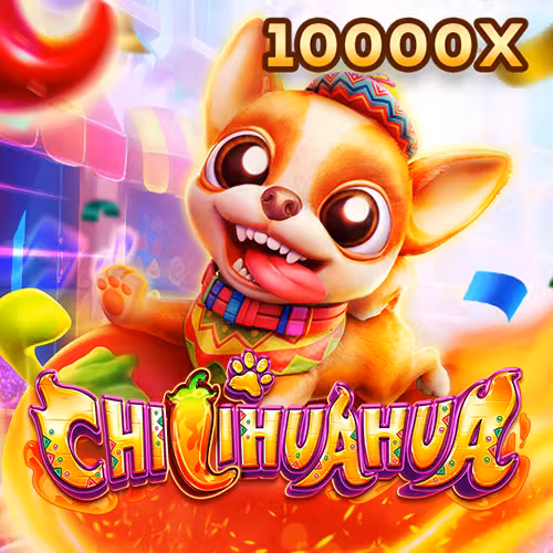 Hình ảnh trò chơi Fachai Chihuahua tại okking